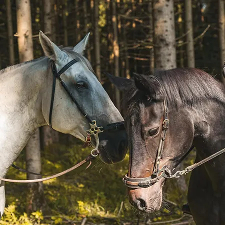 Casa vacanze Caloroczny Borsk