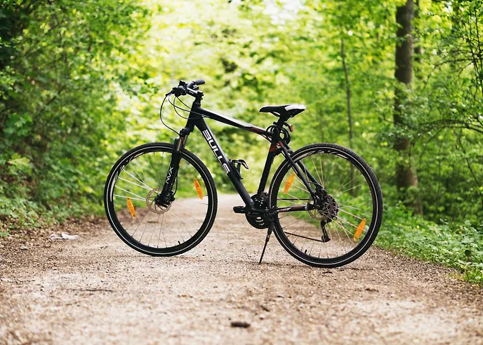 Tatil Evi Caloroczny